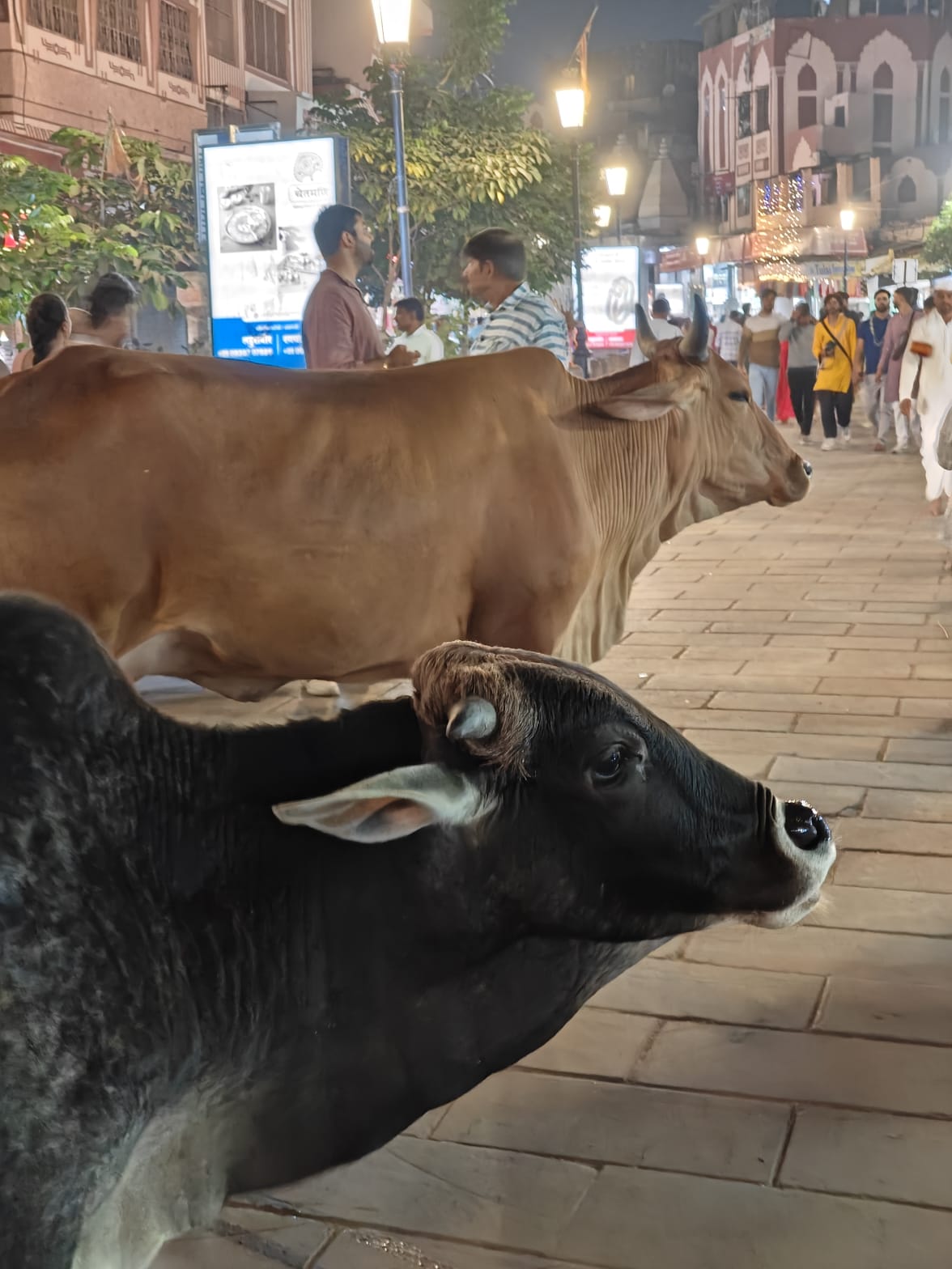 varanasi13